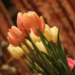 Flowers.