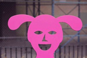 pinkhead