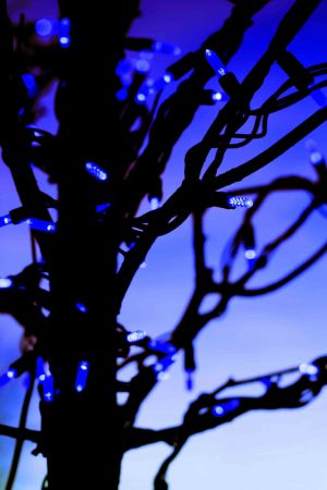 xmas lights blue