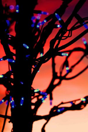 xmas lights red sky
