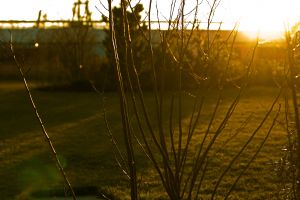 short days of winter